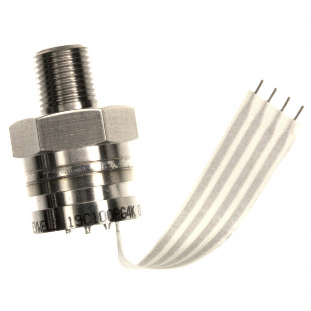 19C100PG4K - 19C100PG4K