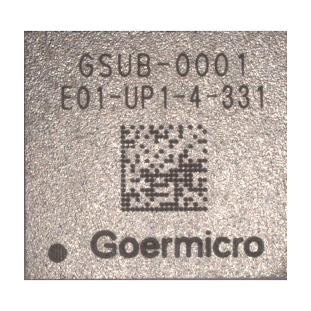 GSUB-0001 - GSUB-0001