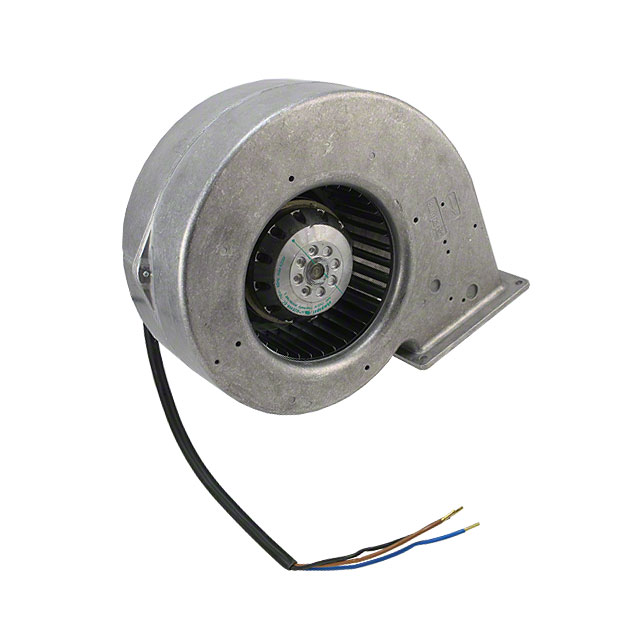 G2E146-BF05-29 - G2E146-BF05-29