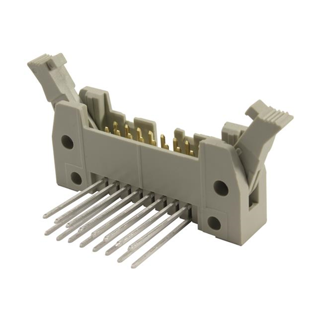 09185266926 - 9185646916