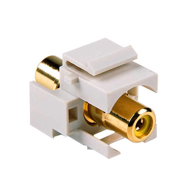 RCAINSERTY-FW - RCAINSERTY-FW