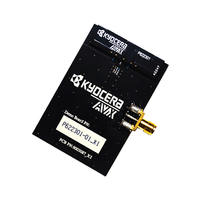 P622301-01 - P622301-01