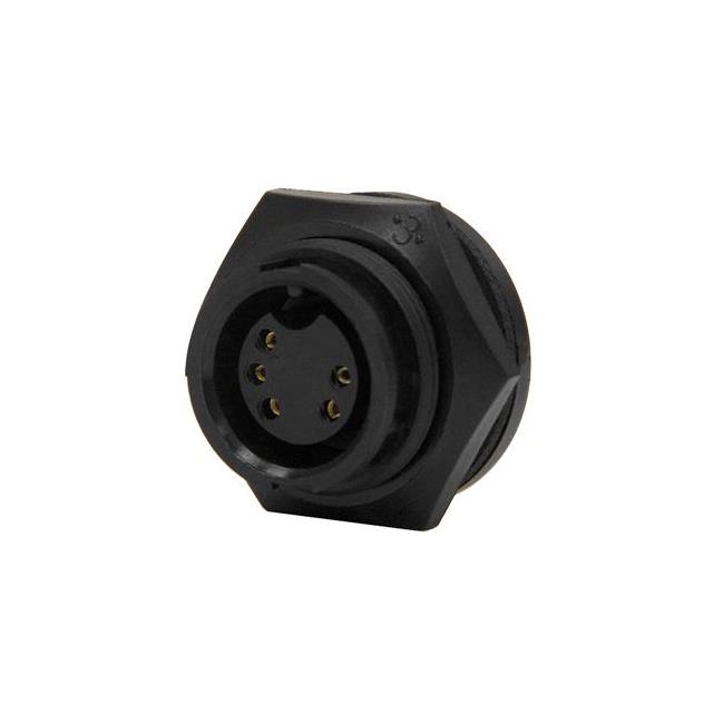 4281-5SG-300 - 4281-5SG-300