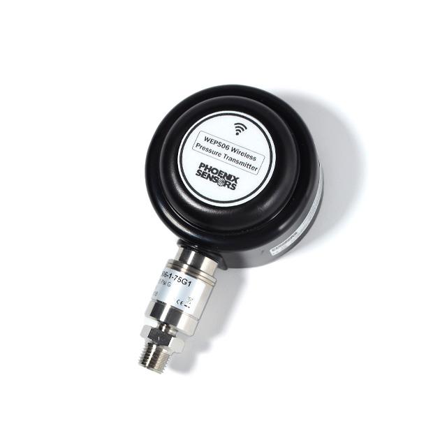 WEPS06-1-3KG1 - WEPS06-1-10G1-L