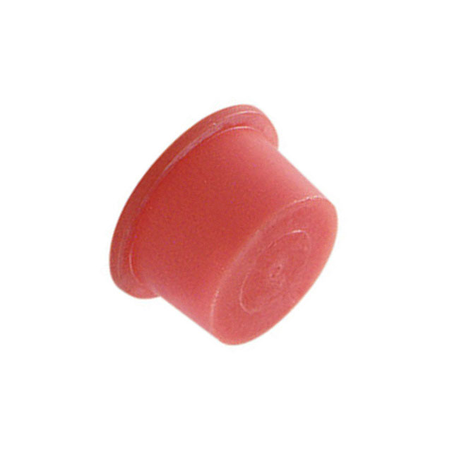 10000610 - BLANKING PLUG BF