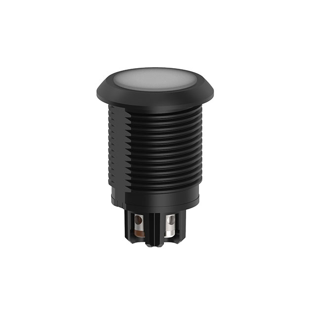 S22L2SRGB7T - S22L2SRGB7T