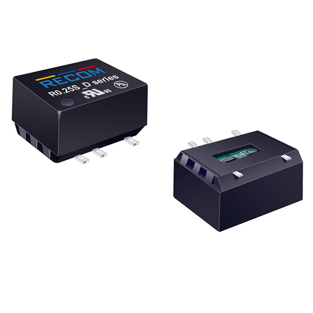 R0.25S-053.3/P - R0.25S_D