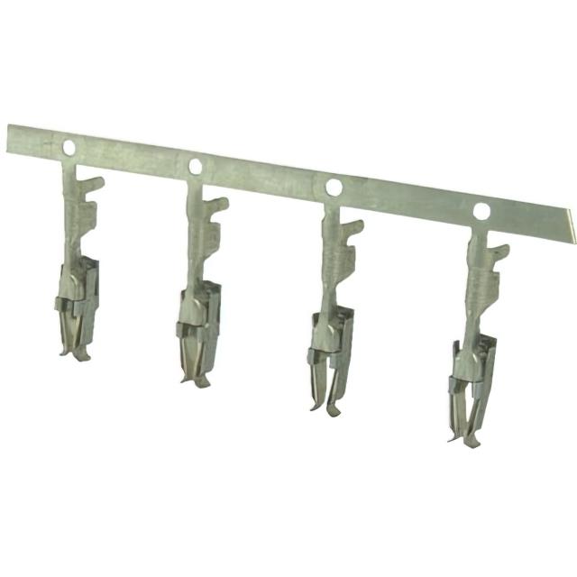 AO0000100000G - AO0000100000G