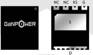 GPI65008DF68 - GPI65008DF68