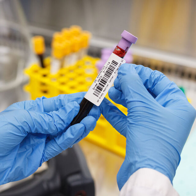 B33-18-424 - B33-19-424