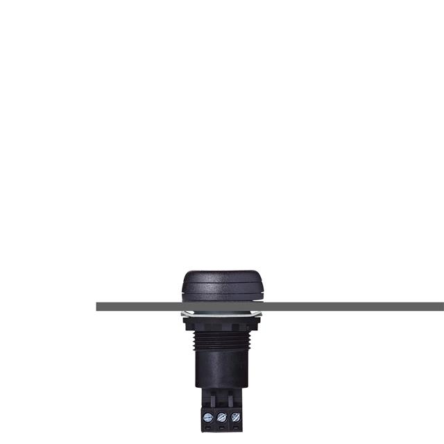 812500313 - 812500313