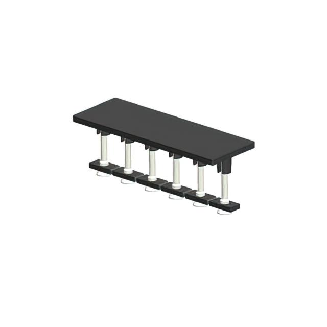 FW0205000000G - FW0405000000G