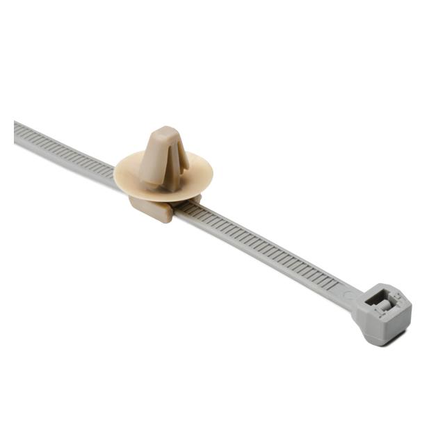 156-00456 - 156-00456