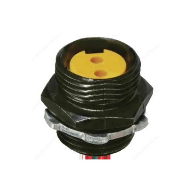 500000215 - 500000215