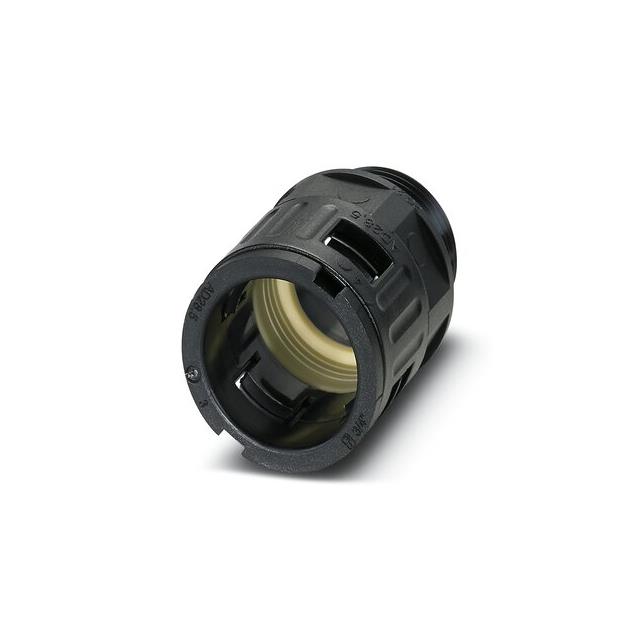 3240878 - 3240878.JPG