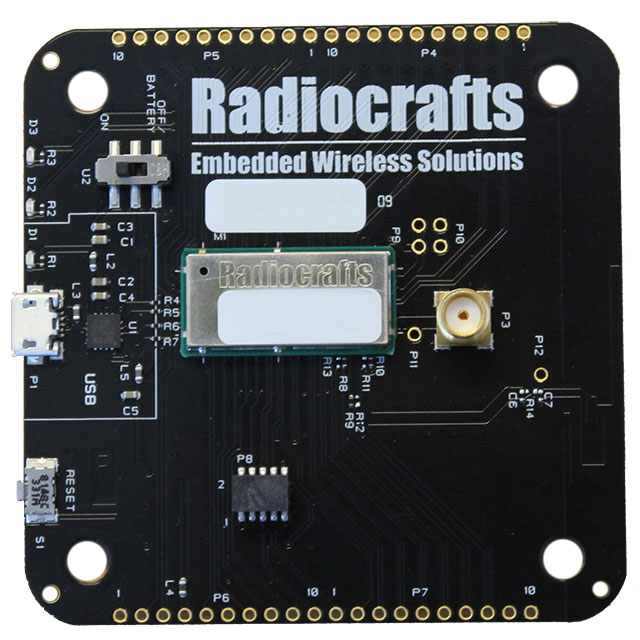 RC1880CEF-SPR-DB - RIIoT-Development-Board