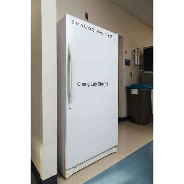 B30C-2500-509-WT - B30C-2500-509-WT