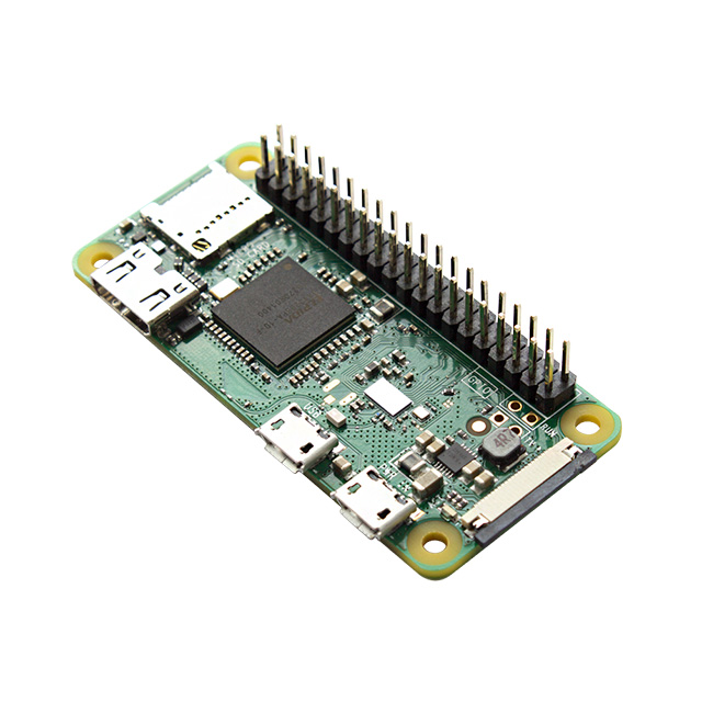 RPI-029 - RPI-029