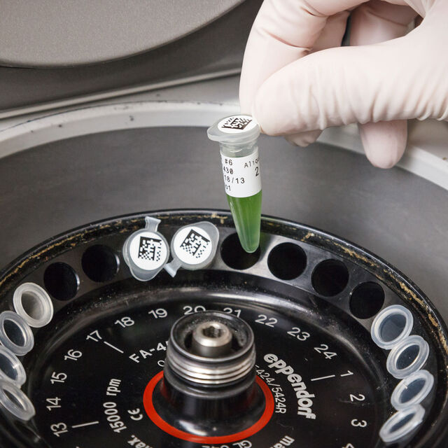 THT-251-492-1.5-SC - THT-250-492-1.5-SC