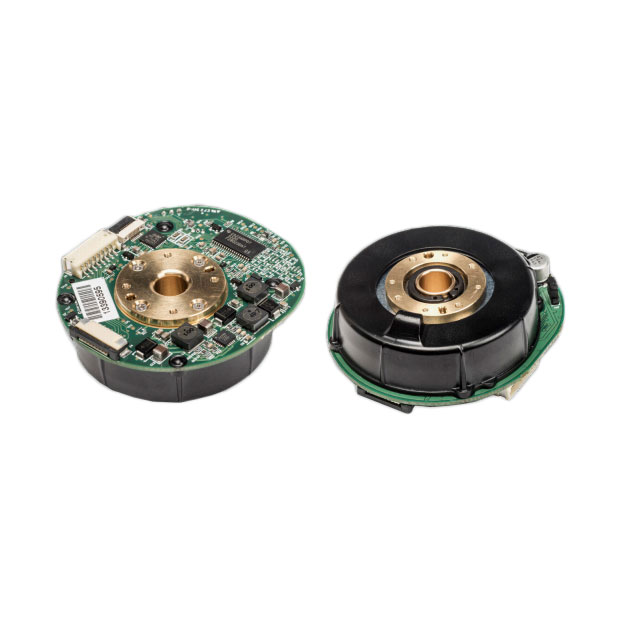 OVU00212-004 - OVU00212