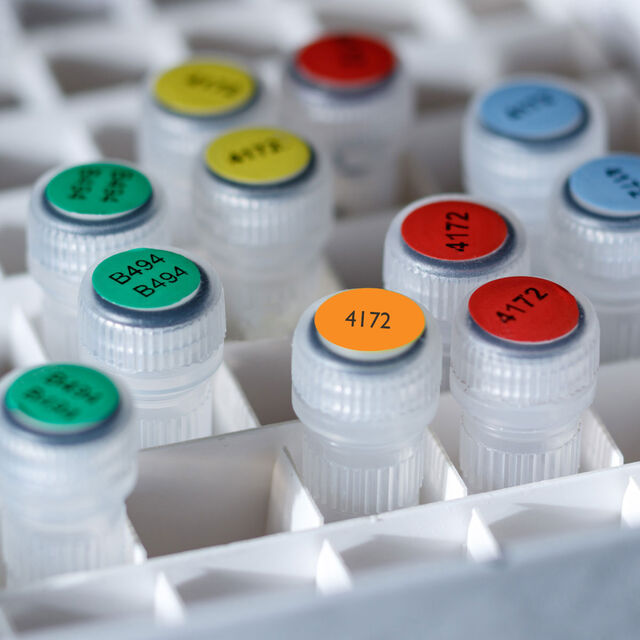 THT-250-494-OR - THT-250-494-OR