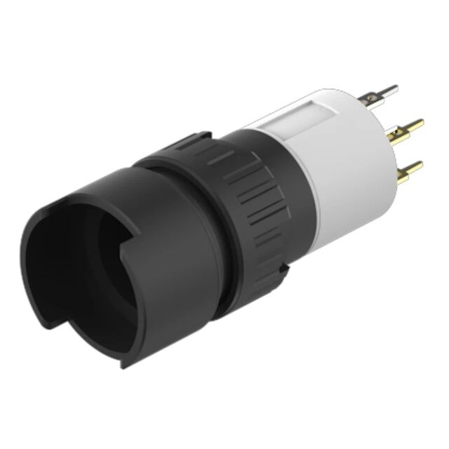 51-431.036 - 51-431.036