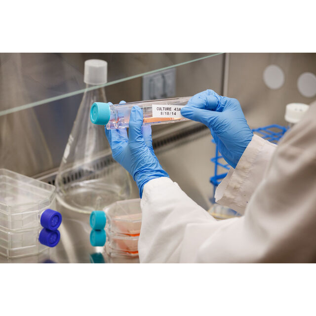 M21-375-488 - M21-375-488