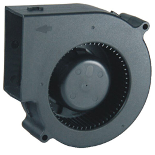 BW09733012BS-EAE-5 - BW09733012BS-EAE-5