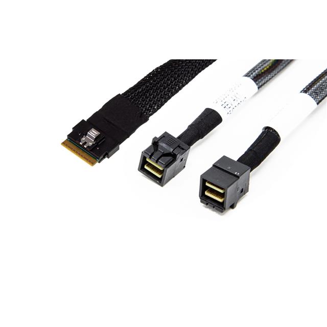 AMPH-SAS-SL8-43X2-100 - AMPH-SAS-SL8-43X2-050