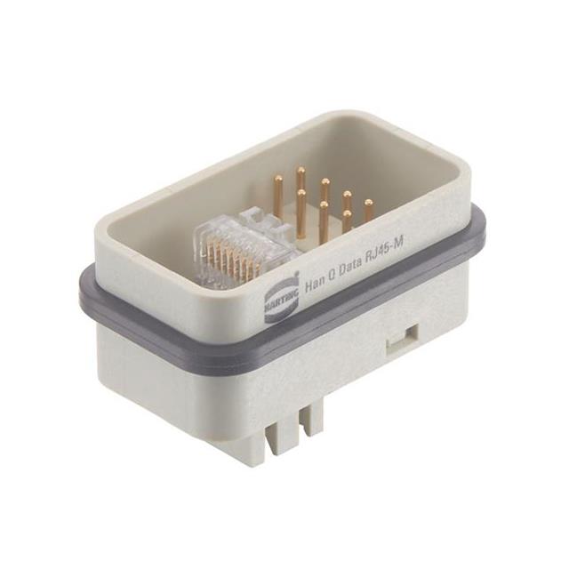 09120113001 - 09120113001