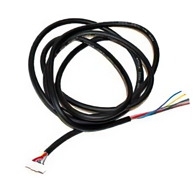 BB-WSCACO-6 - BB-WSCACO-6