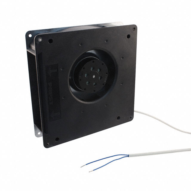 RG125-19/06 - RG125-19/06