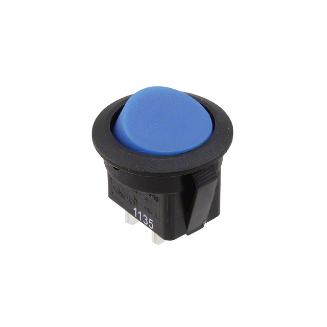 RR111C1700 - RR111C1700