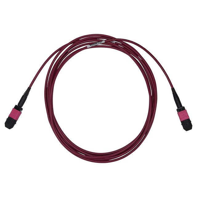 C50-8120-25FT - C50-8120-1FT