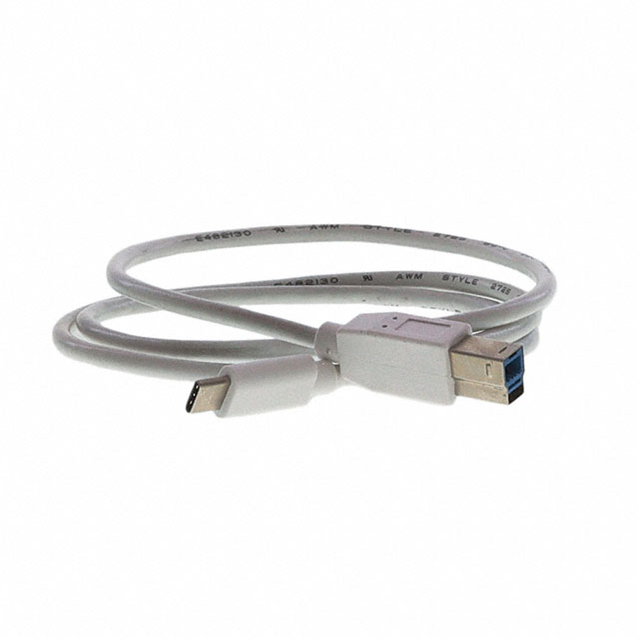 USBCM301M0USBBMMWHR - USBCM301M0USBBMMWHR