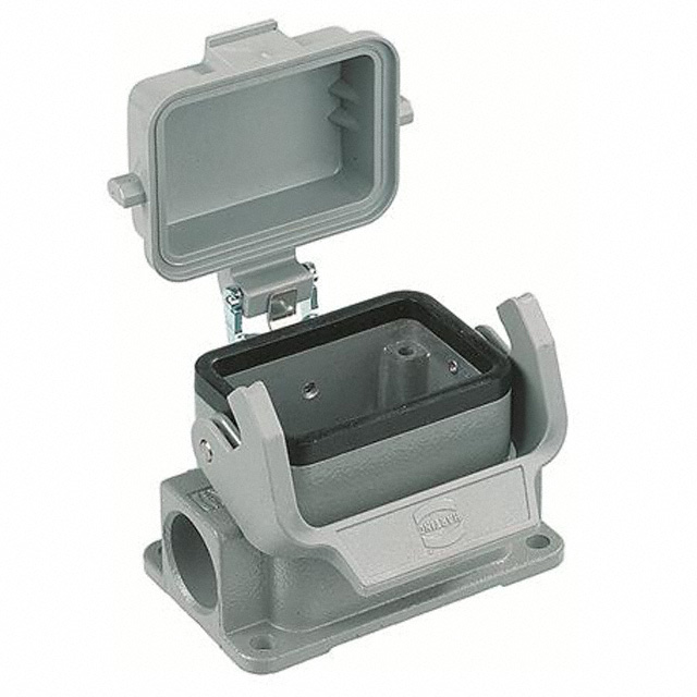 19300061295 - 19300061295