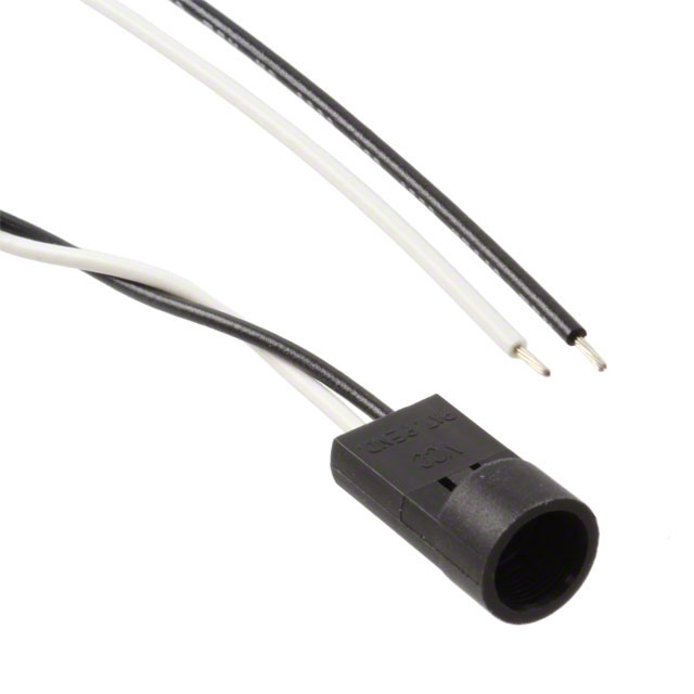 CNX_C_X_4_1_24 - CNX_C_X_4_1