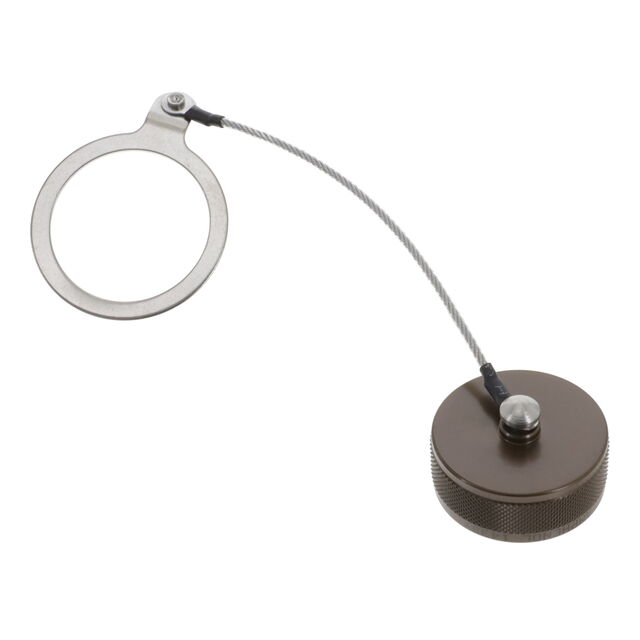 D3899933W19N - D3899933W19N