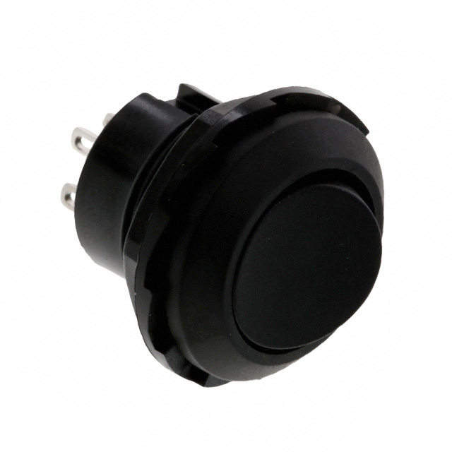 RR3130BBLKBLKES - RR3130BBLKBLKES