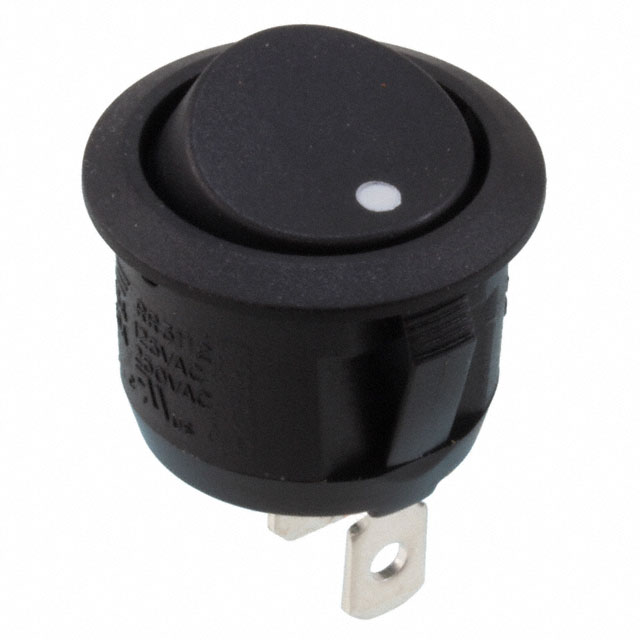 RR3112DBLKBLKNAF0 - RR3112DBLKBLKNAF0