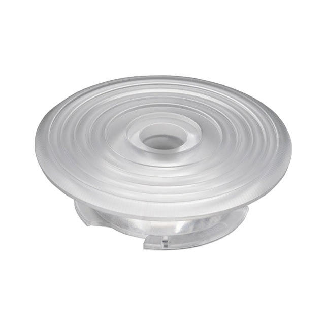 C15802_MOLLY-W - C15802_MOLLY-W