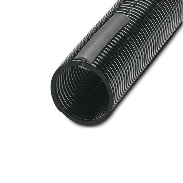 3240848 - 3240848.JPG