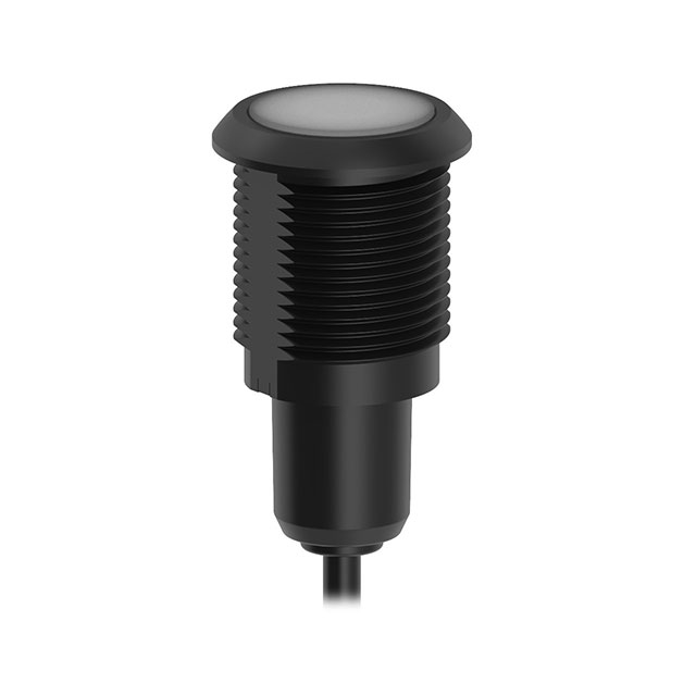 S22L2SRGB14QP - S22L2SRGB14QP