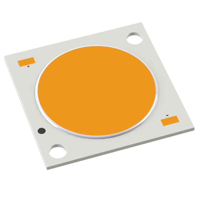 CXM-22-30-90-36-AC00-F2-3 - Chip On Board