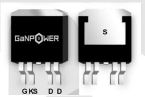 GPI65030TO5L - GPI65030TO5L