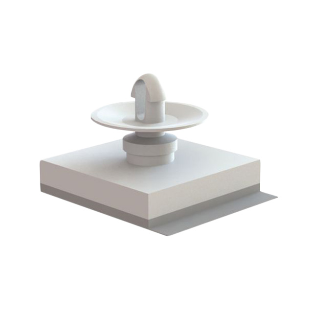 CCBSBT-10-01A - CCBSBT-10-01A