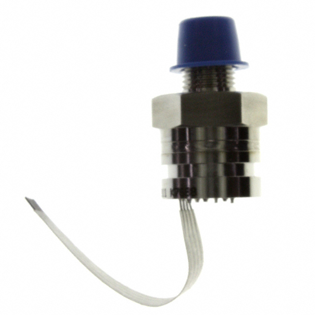 19C300PG4K - 19C300PG4K